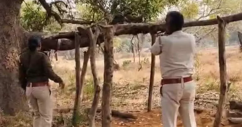 वन विभाग ने 254 नग सागौन लकड़ी किया जब्त, तस्करी नाकाम वन विभाग ने 254 नग सागौन लकड़ी किया जब्त, तस्करी नाकाम