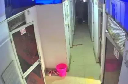 NEET छात्र की मौत, CCTV ने पुलिस की घटनाक्रम पर उठाए सवाल NEET छात्र की मौत, CCTV ने पुलिस की घटनाक्रम पर उठाए सवाल
