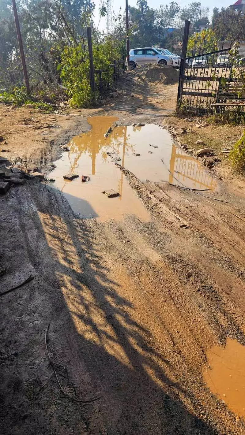 Noorpur के वार्ड नंबर 2 के निवासियों ने सड़क की मरम्मत की मांग की Noorpur के वार्ड नंबर 2 के निवासियों ने सड़क की मरम्मत की मांग की
