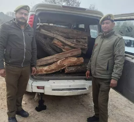 Jammu: प्रशासन ने अवैध खैर लकड़ी की गाड़ियां जब्त कीं Jammu: प्रशासन ने अवैध खैर लकड़ी की गाड़ियां जब्त कीं