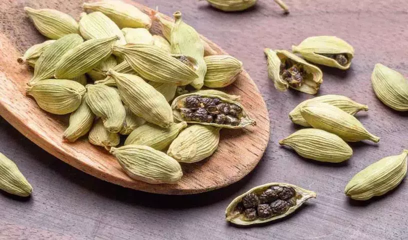 अगर आप खाना खाने के बाद इलायची खाते हैं तो क्या होता है? अगर आप खाना खाने के बाद इलायची खाते हैं तो क्या होता है?