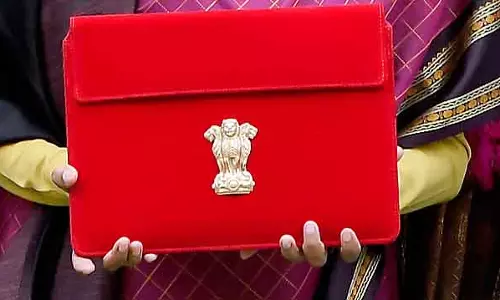 तमिलनाडु ने केंद्रीय बजट का बहिष्कार किया क्योंकि बीजेपी नहीं जीतेगी: DMK ने आलोचना की