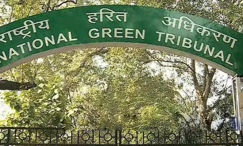 Ujjain: बिगड़ती स्थिति को लेकर एनजीटी की सख्त टिप्पणी