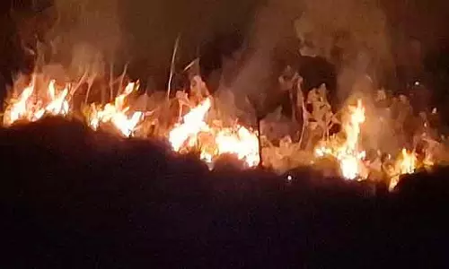 Charamadi घाटी के जंगल में लगी आग: एकड़ो घास के मैदान जलकर राख हो गए