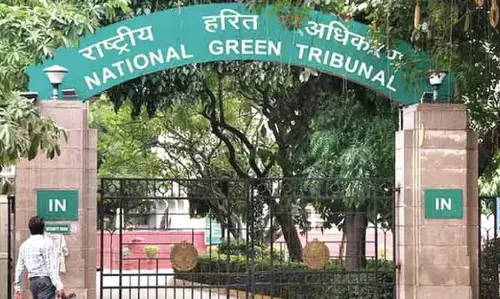 NGT ने CPCB, PCC को मानसबल झील में प्रदूषण की जांच करने का निर्देश दिया। NGT ने CPCB, PCC को मानसबल झील में प्रदूषण की जांच करने का निर्देश दिया।