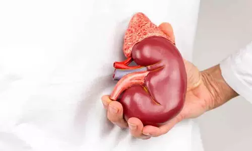 Kidney की बीमारी के लक्षण, अगर आपको ये लक्षण हैं तो आपको इनका ध्यान रखना चाहिए Kidney की बीमारी के लक्षण, अगर आपको ये लक्षण हैं तो आपको इनका ध्यान रखना चाहिए