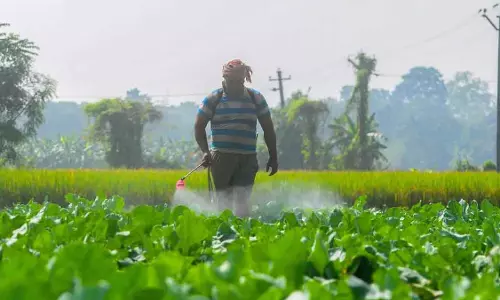 India-US व्यापार समझौता: कृषि क्षेत्र पर प्रभाव India-US व्यापार समझौता: कृषि क्षेत्र पर प्रभाव