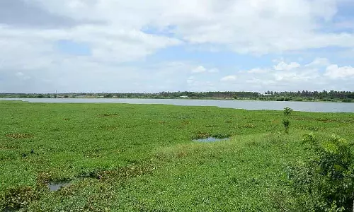 Davanagere : 215 झीलों से अतिक्रमण हटाया गया Davanagere : 215 झीलों से अतिक्रमण हटाया गया