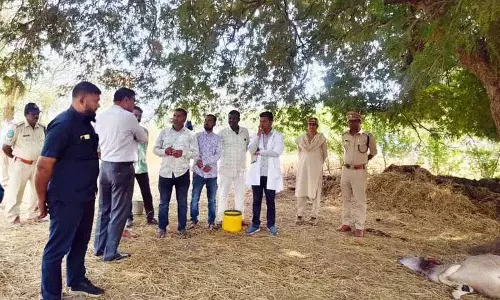 Yadadri में बाघ का हमला, निवासियों को शाम 5 बजे के बाद बाहर न निकलने की चेतावनी दी गई