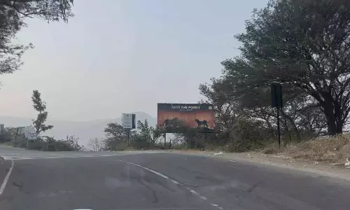 Nagarkurnool में बाघ की नजर, NH-श्रीशैलम मार्ग के पास ग्रामीणों में सतर्कता Nagarkurnool में बाघ की नजर, NH-श्रीशैलम मार्ग के पास ग्रामीणों में सतर्कता
