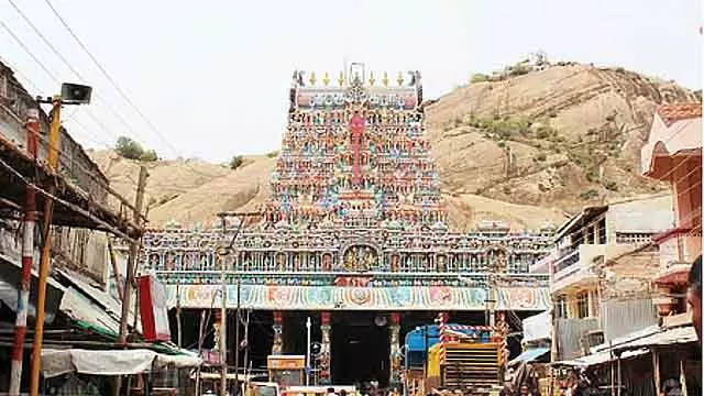थिरुपरनकुंद्रम मामला: Madurai कलेक्टर ने बिना शर्त माफ़ी मांगी थिरुपरनकुंद्रम मामला: Madurai कलेक्टर ने बिना शर्त माफ़ी मांगी