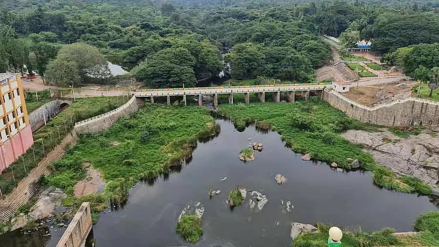 पेन्नैयार नदी विवाद में तमिलनाडु के प्रयासों से SC का फैसला हमारे पक्ष में आया: जल संसाधन पेन्नैयार नदी विवाद में तमिलनाडु के प्रयासों से SC का फैसला हमारे पक्ष में आया: जल संसाधन