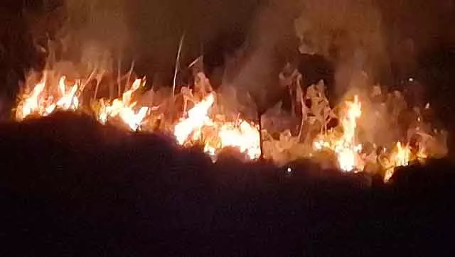 Charamadi घाटी के जंगल में लगी आग: एकड़ो घास के मैदान जलकर राख हो गए Charamadi घाटी के जंगल में लगी आग: एकड़ो घास के मैदान जलकर राख हो गए