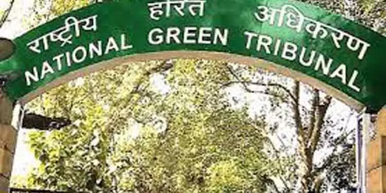 अवैध पेड़ कटाई पर रोक लगाएं: NGT ने Bolangir प्रशासन से कहा अवैध पेड़ कटाई पर रोक लगाएं: NGT ने Bolangir प्रशासन से कहा