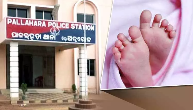 Bhubaneswar: झाड़ी में लावारिस पड़ा मिला नवजात बच्चा, बचाया गया Bhubaneswar: झाड़ी में लावारिस पड़ा मिला नवजात बच्चा, बचाया गया