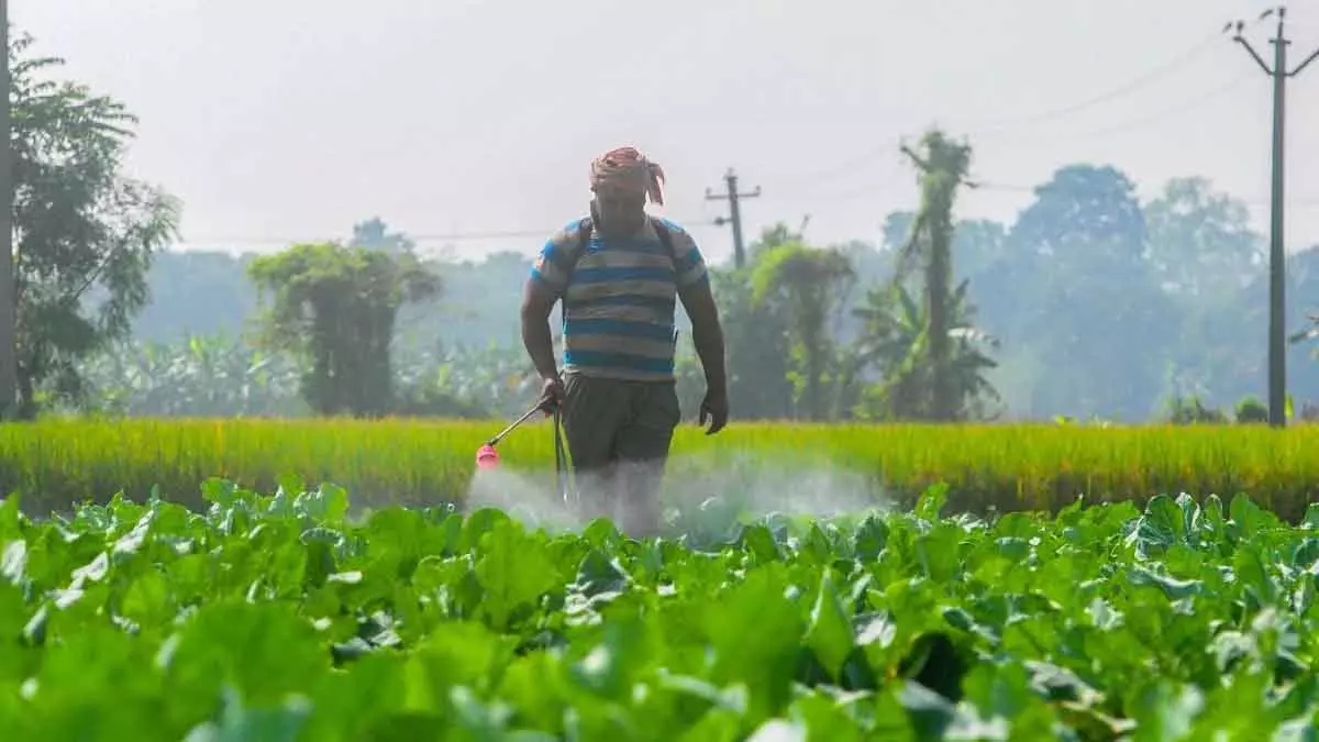 India-US व्यापार समझौता: कृषि क्षेत्र पर प्रभाव India-US व्यापार समझौता: कृषि क्षेत्र पर प्रभाव