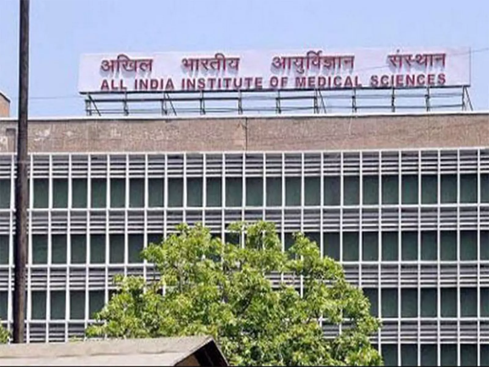 AIIMS टीम ने अनुसंधान दिवस पर अंटार्कटिका तक टेलरोबोटिक अल्ट्रासाउंड का प्रदर्शन किया AIIMS टीम ने अनुसंधान दिवस पर अंटार्कटिका तक टेलरोबोटिक अल्ट्रासाउंड का प्रदर्शन किया