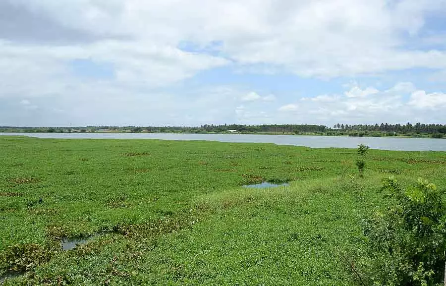 Davanagere : 215 झीलों से अतिक्रमण हटाया गया Davanagere : 215 झीलों से अतिक्रमण हटाया गया