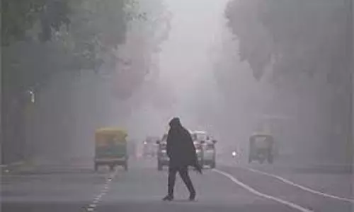 Haryana: घने कोहरे का यलो अलर्ट Haryana: घने कोहरे का यलो अलर्ट