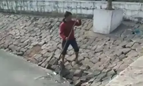 तालाब का पानी खराब, रोहू-कतला मछलियों की मौत