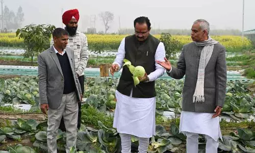 मिट्टी की सेहत सुधारने के लिए प्राकृतिक खेती अपनाएं: Gujarat minister मिट्टी की सेहत सुधारने के लिए प्राकृतिक खेती अपनाएं: Gujarat minister
