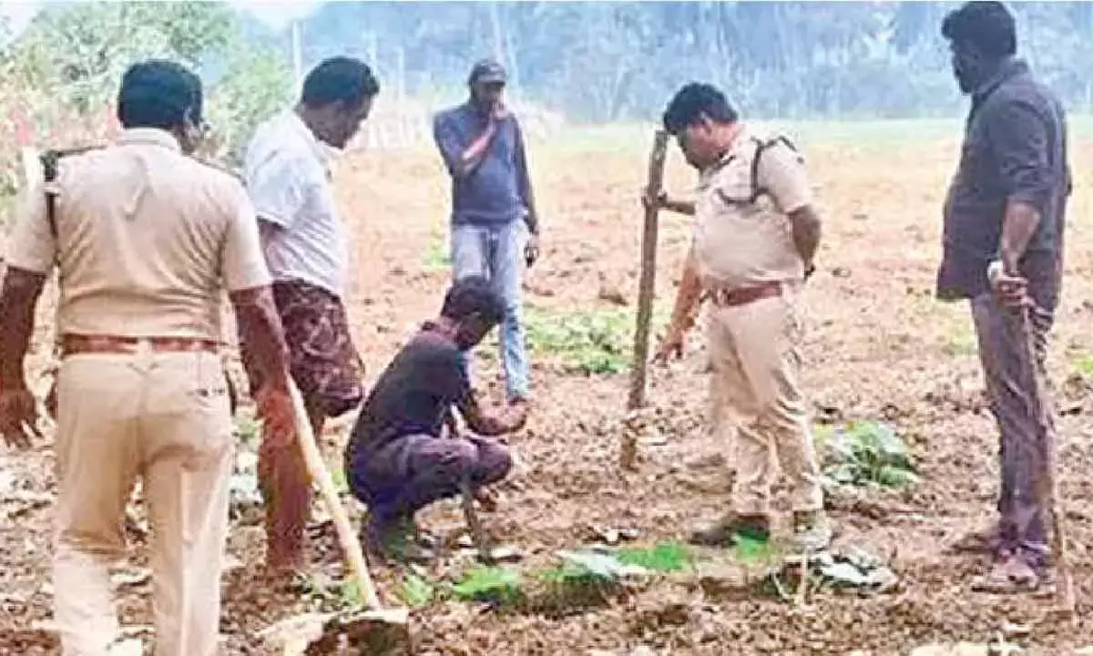 Andhra: गांवों में बाघ की हलचल से चिंता बढ़ी Andhra: गांवों में बाघ की हलचल से चिंता बढ़ी