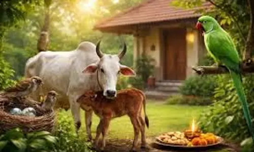 Vastu Tips: घर के आसपास दिखें ये 3 घटनाएं तो समझ लें धन और खुशियां खुद चलकर आएंगी आपके पास
