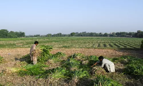 Haryana : एग्री स्टैक कार्यक्रम के तहत किसान आईडी बनाने में रेवाड़ी पहले स्थान पर है Haryana : एग्री स्टैक कार्यक्रम के तहत किसान आईडी बनाने में रेवाड़ी पहले स्थान पर है