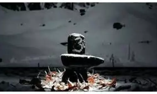Mahashivratri: महाशिवरात्रि पर रुद्राभिषेक से मिलते हैं अद्भुत फल