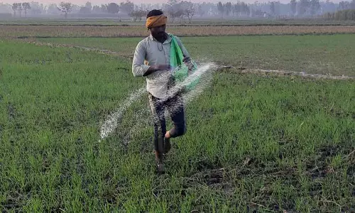 हरियाणा, पंजाब के किसान ग्रुप D स्टाफ से ज़्यादा नहीं कमाते: Government data हरियाणा, पंजाब के किसान ग्रुप D स्टाफ से ज़्यादा नहीं कमाते: Government data