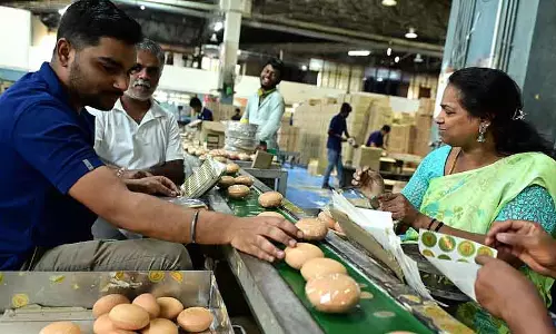 Karnataka : अकेले जनवरी में रिकॉर्ड 4,894 टन साबुन का प्रोडक्शन हुआ