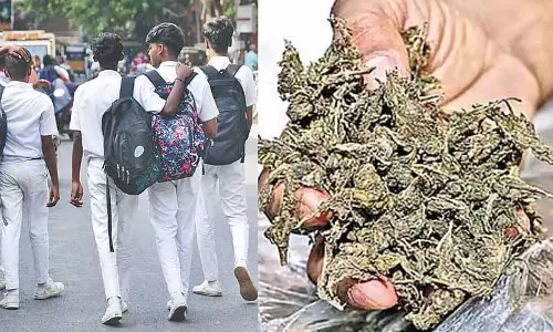 Chennai: स्कूल में क्लास 11 का छात्र गांजे के साथ पकड़ा गया