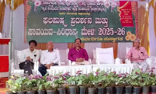 सुपारी के पत्तों पर धब्बे का एकमात्र समाधान मैनेजमेंट है: वैज्ञानिकों की सलाह सुपारी के पत्तों पर धब्बे का एकमात्र समाधान मैनेजमेंट है: वैज्ञानिकों की सलाह