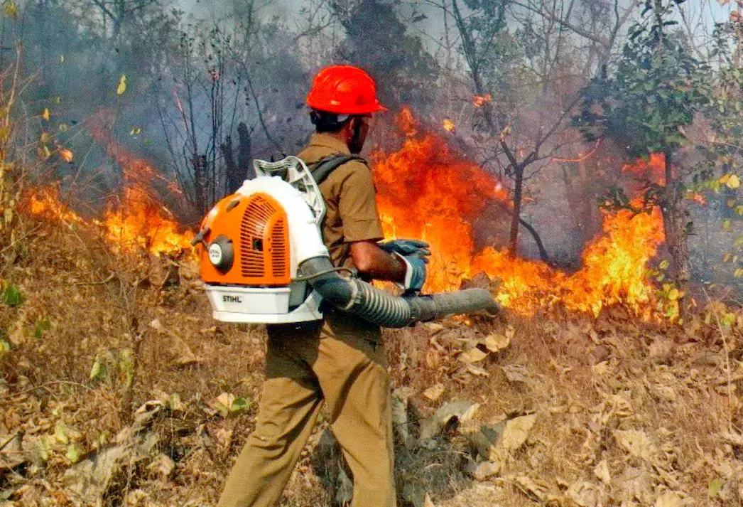 Telangana : पीक सीज़न आने वाला है इसलिए जंगल की आग से निपटने के लिए 6 विभाग और एजेंसियां ​​एक साथ आए