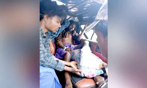 Edamalakkudy में जंगली भैंस ने युवक पर हमला किया; युवक घायल