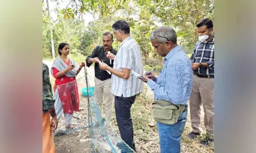Bird flu ; केंद्रीय टीम ने प्रभावित इलाकों का दौरा किया