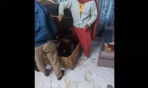 Guwahati में बेड बॉक्स से घरेलू सहायिका को बचाया गया; वायरल वीडियो सामने आया