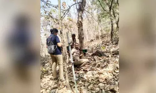 Kerala ; वन विभाग ने सर्विलांस कैमरे लगाए Kerala ; वन विभाग ने सर्विलांस कैमरे लगाए