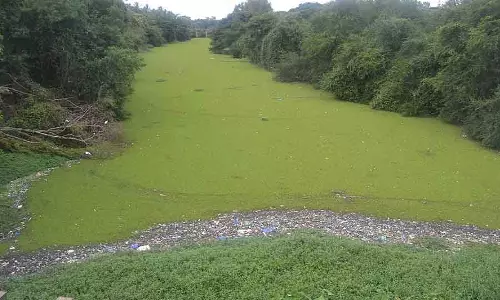लक्ष्मणतीर्थ नदी की सफाई के लिए ₹70 करोड़ दें: MLA लक्ष्मणतीर्थ नदी की सफाई के लिए ₹70 करोड़ दें: MLA