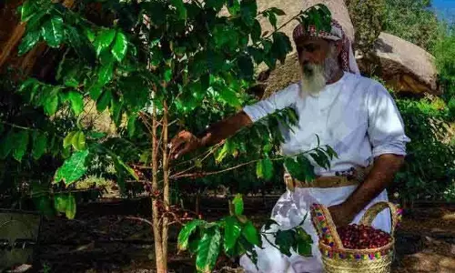 Saudi Reef Program : किसानों और ग्रामीणों को सशक्त बनाने में अहम Saudi Reef Program : किसानों और ग्रामीणों को सशक्त बनाने में अहम
