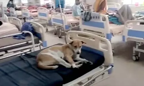 हुगली Hospital में हंगामा, सरमेया बिस्तर पर पड़ी