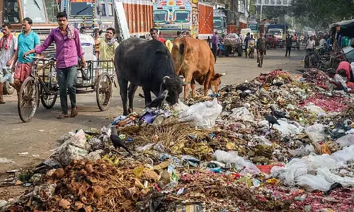 कचरा डंप में खराब हालात, बीमारी फैलने का डर