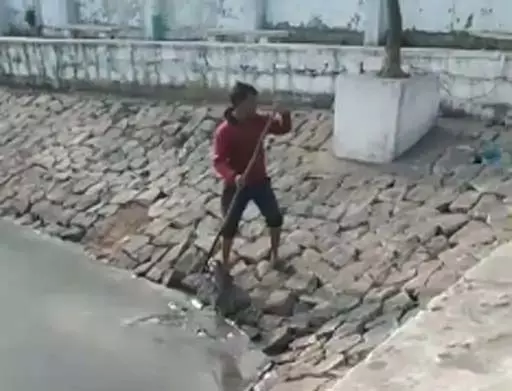 तालाब का पानी खराब, रोहू-कतला मछलियों की मौत तालाब का पानी खराब, रोहू-कतला मछलियों की मौत