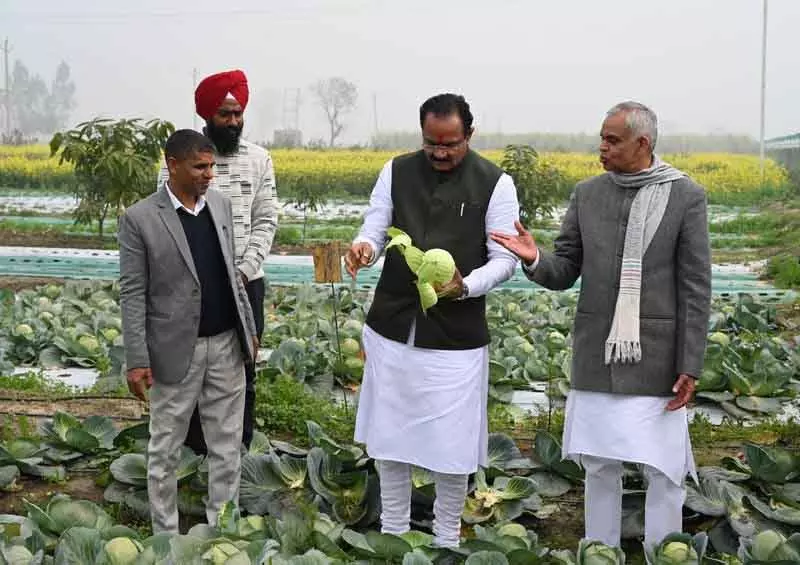 मिट्टी की सेहत सुधारने के लिए प्राकृतिक खेती अपनाएं: Gujarat minister मिट्टी की सेहत सुधारने के लिए प्राकृतिक खेती अपनाएं: Gujarat minister