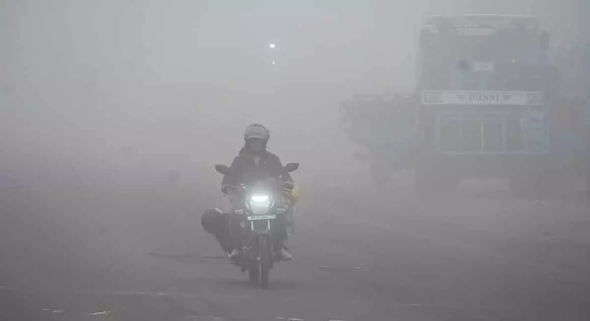 MP : ठंड के बाद थोड़ी राहत; 5 फरवरी से एक और पश्चिमी विक्षोभ बारिश लाएगा MP : ठंड के बाद थोड़ी राहत; 5 फरवरी से एक और पश्चिमी विक्षोभ बारिश लाएगा