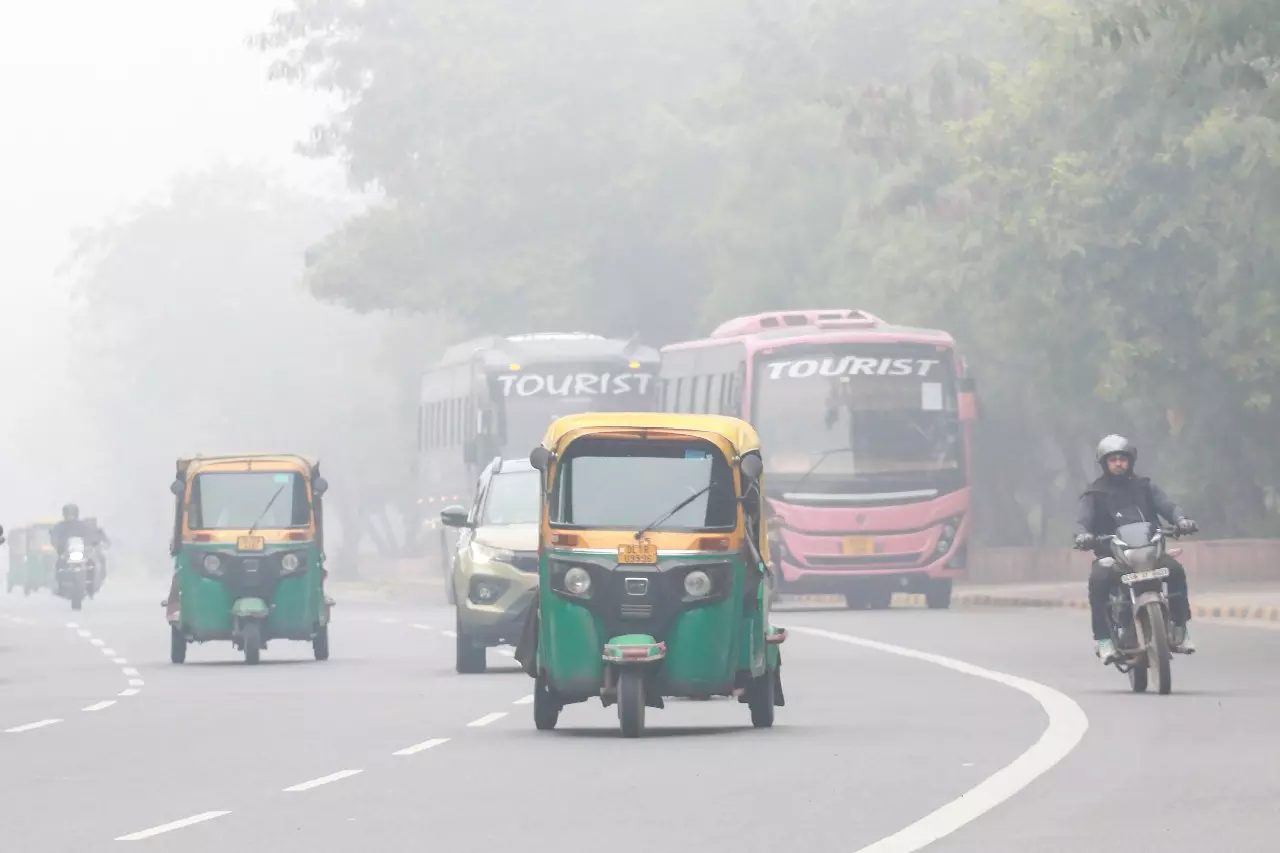 Delhi में घना कोहरा छाया; IGI एयरपोर्ट पर कम विजिबिलिटी के लिए प्रक्रियाएं लागू Delhi में घना कोहरा छाया; IGI एयरपोर्ट पर कम विजिबिलिटी के लिए प्रक्रियाएं लागू