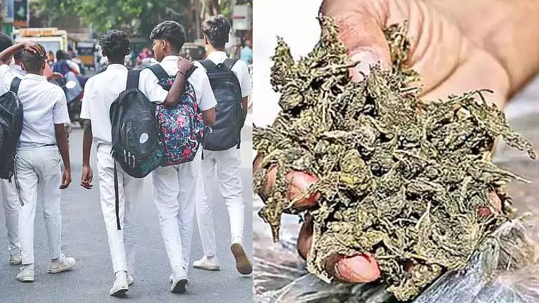 Chennai: स्कूल में क्लास 11 का छात्र गांजे के साथ पकड़ा गया Chennai: स्कूल में क्लास 11 का छात्र गांजे के साथ पकड़ा गया