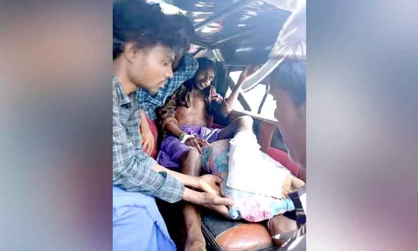 Edamalakkudy में जंगली भैंस ने युवक पर हमला किया; युवक घायल Edamalakkudy में जंगली भैंस ने युवक पर हमला किया; युवक घायल