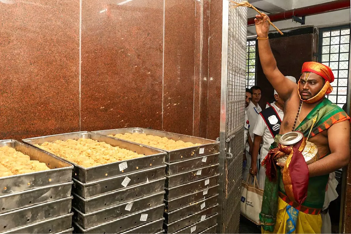 Tirupati लड्डू में मिलावट: आंध्र प्रदेश में मास्टरमाइंड खोजने के लिए पैनल Tirupati लड्डू में मिलावट: आंध्र प्रदेश में मास्टरमाइंड खोजने के लिए पैनल