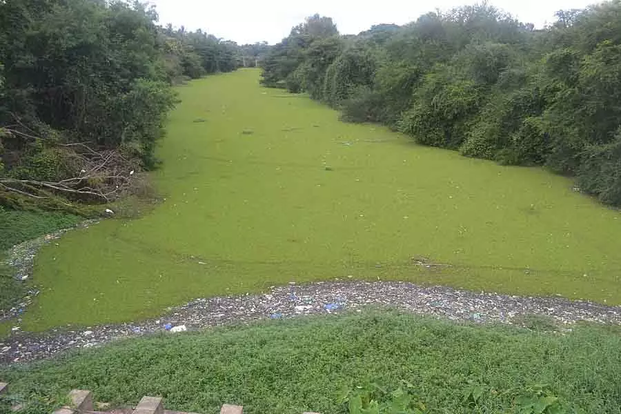लक्ष्मणतीर्थ नदी की सफाई के लिए ₹70 करोड़ दें: MLA लक्ष्मणतीर्थ नदी की सफाई के लिए ₹70 करोड़ दें: MLA